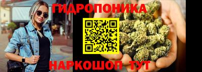прущие грибы Ипатово