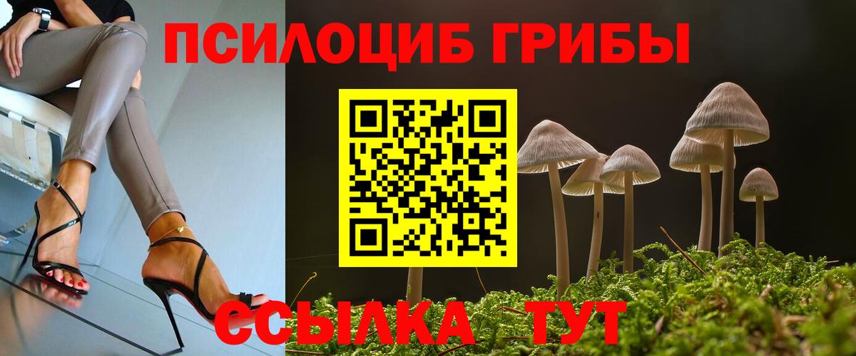 Псилоцибиновые грибы мицелий Кропоткин